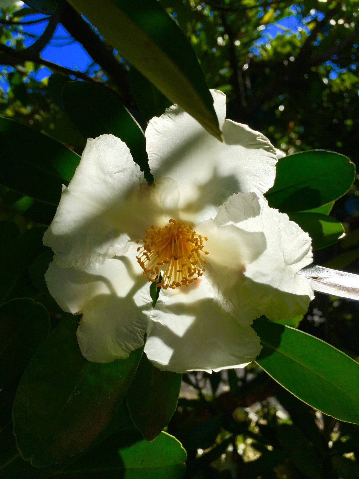 Spring is in the Air…may the sun be on your back!